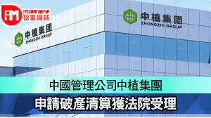 中植集團破產清算案最新進展!這家律所成為管理人 | A股 | 鉅亨號 | Anue鉅亨