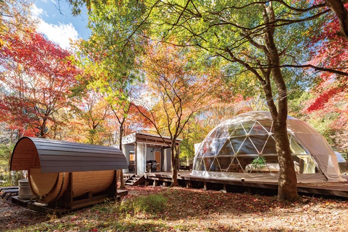 2026年日本秋天旅行新趨勢，從紅葉打卡轉向住進大自然住宿