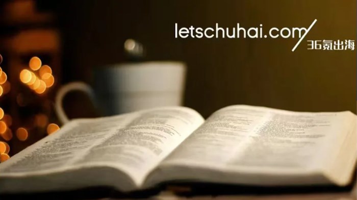 Temu歐洲4國零售登頂、8國第二；阿里雲計畫12個月內落地土耳其、芬蘭、荷蘭｜36氪出海·要聞回顧