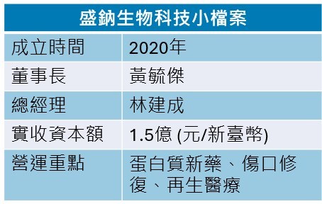 盛鈉蛋白質新藥布局毛髮健康市場 目標期2027年第三季登錄興櫃