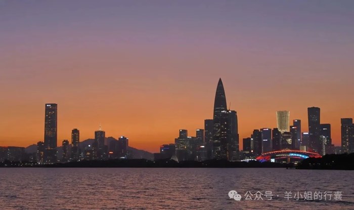 出站就是海！深圳灣這個免費看海地，從《怦然心動》同款大樹一路躺到橘子日落