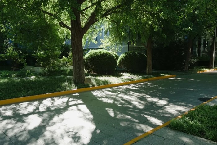 馬來西亞生活觀察：一萬字，沒有答案