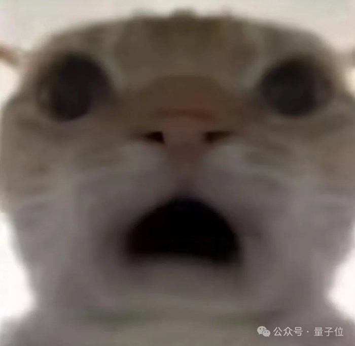 Hinton發了首篇RSI論文